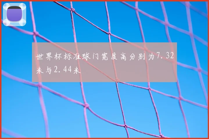 世界杯标准球门宽度高分别为7.32米与2.44米